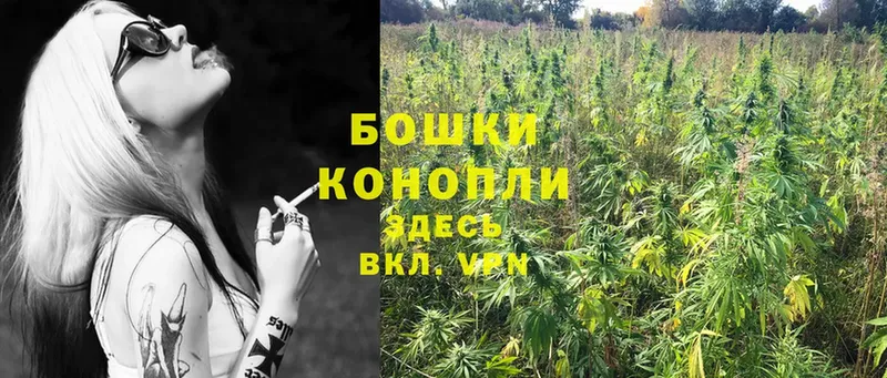 Бошки Шишки OG Kush  Йошкар-Ола 